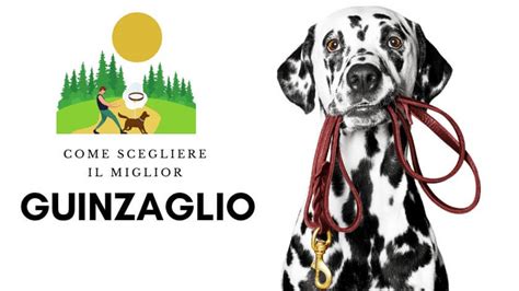 Guinzaglio per cani : + di 300 modelli al Miglior Prezzo 